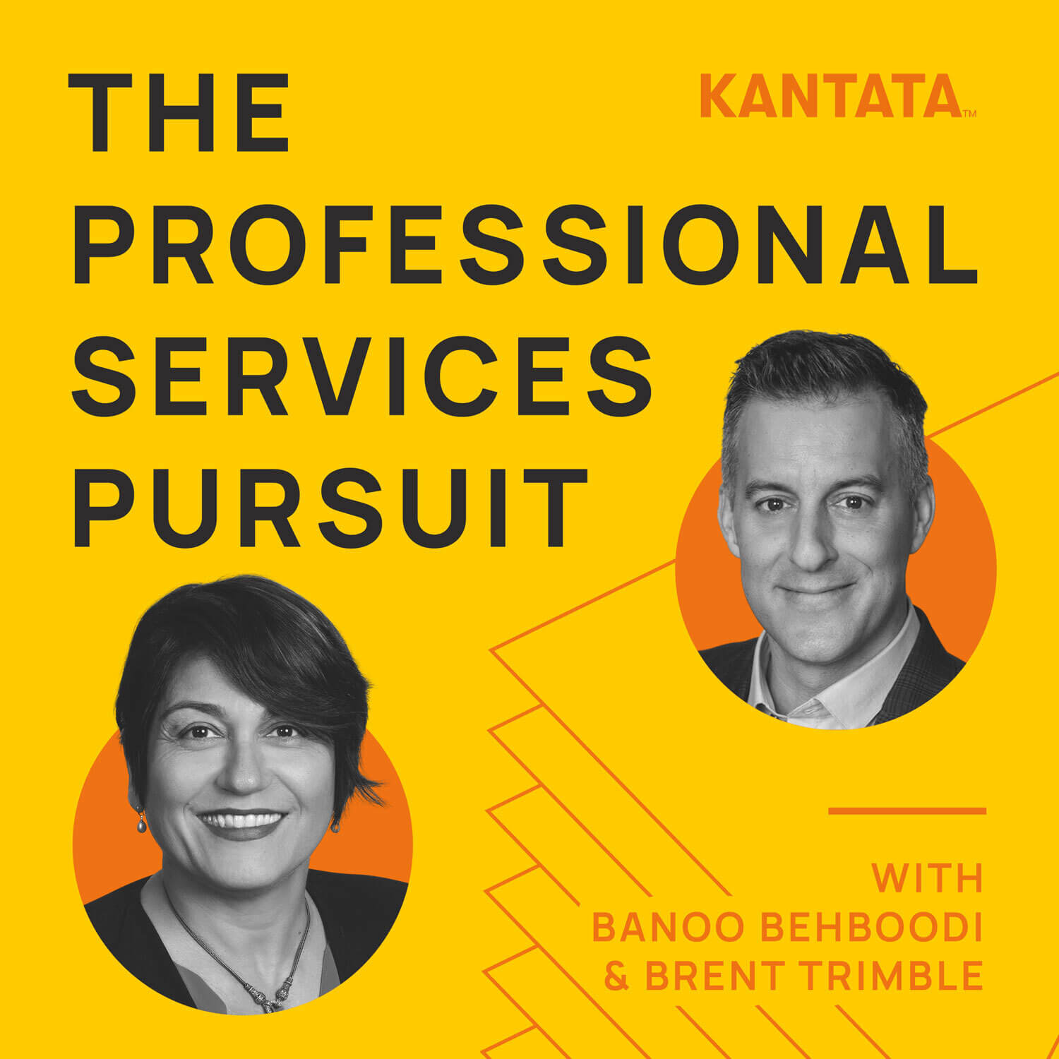 The Professional Services Pursuit